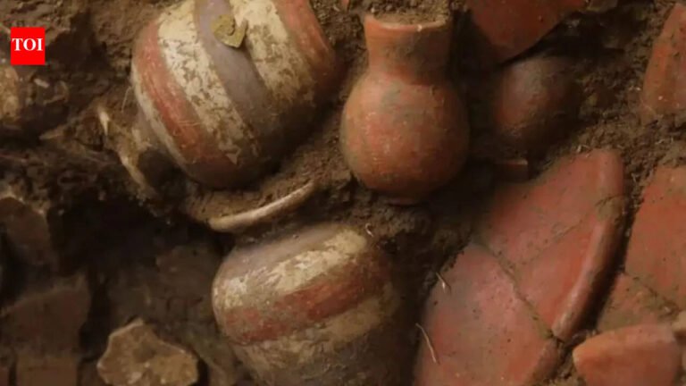 1,000-year-old gold tomb discovered in Panama reveals ancient treasures and powerful leaders World News