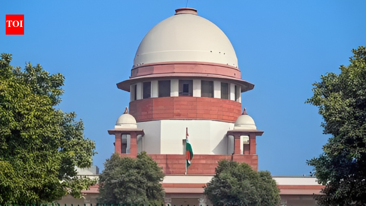 'Appeasement': Why Supreme Court labels 'freebie culture' and warns states India News