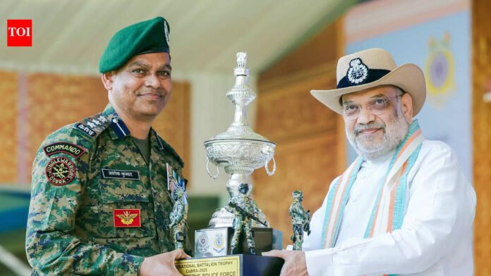 BJP to expel infiltrators within five years if it returns to power: Amit Shah | India News

