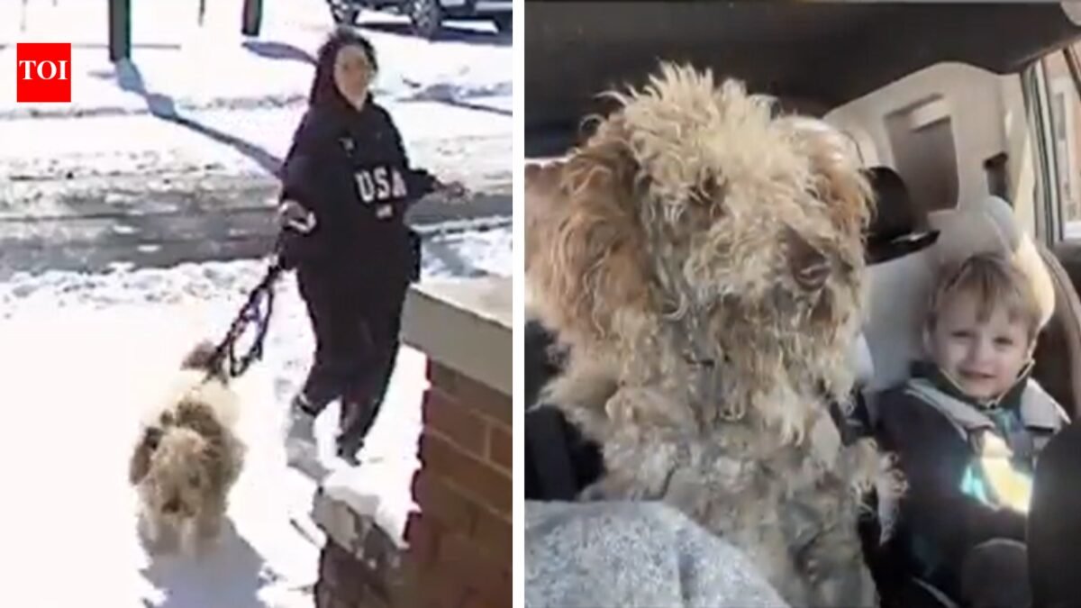 'Bewildered and confused': US woman faces charges after rescuing abandoned dog from freezing blizzard