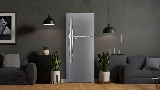 Can-a-five-star-refrigerator-lower-your-energy-bill-or-is.jpg Cricket in L1