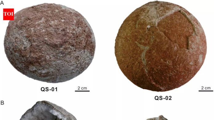 Cannonball-sized dinosaur crystal egg found in China World News