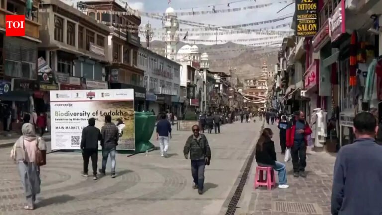 Center rejects Sixth Schedule, statehood for Ladakh, proposes council | India News