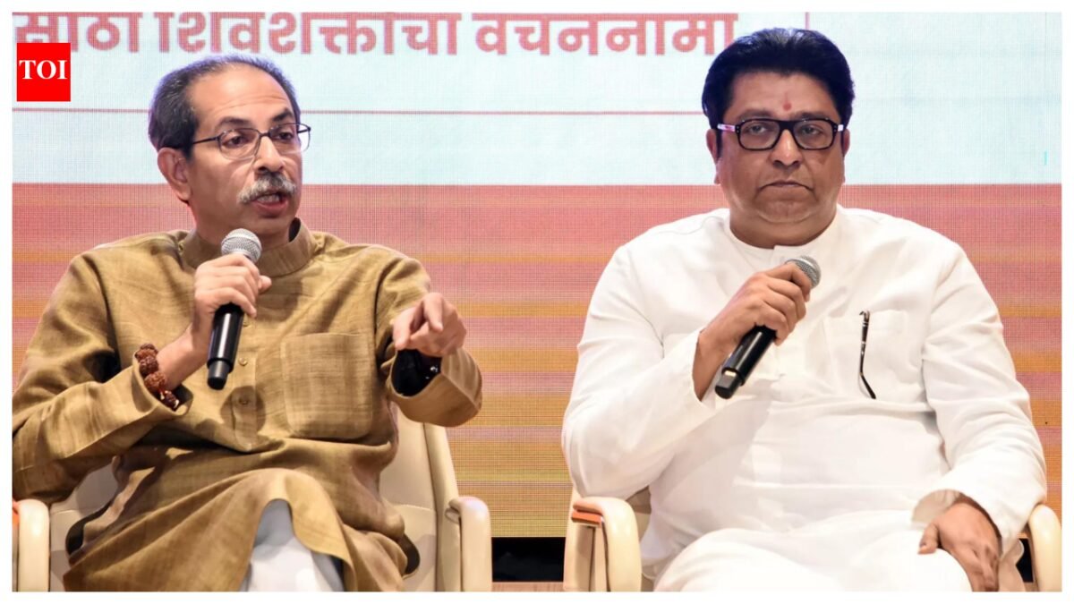 'Companies get Rs 1 crore each': MNS leaders help BJP win Chandrapur mayor's post after Sena (UBT) ditches Cong India News