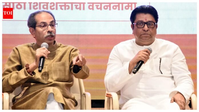 'Companies get Rs 1 crore each': MNS leaders help BJP win Chandrapur mayor's post after Sena (UBT) ditches Cong India News