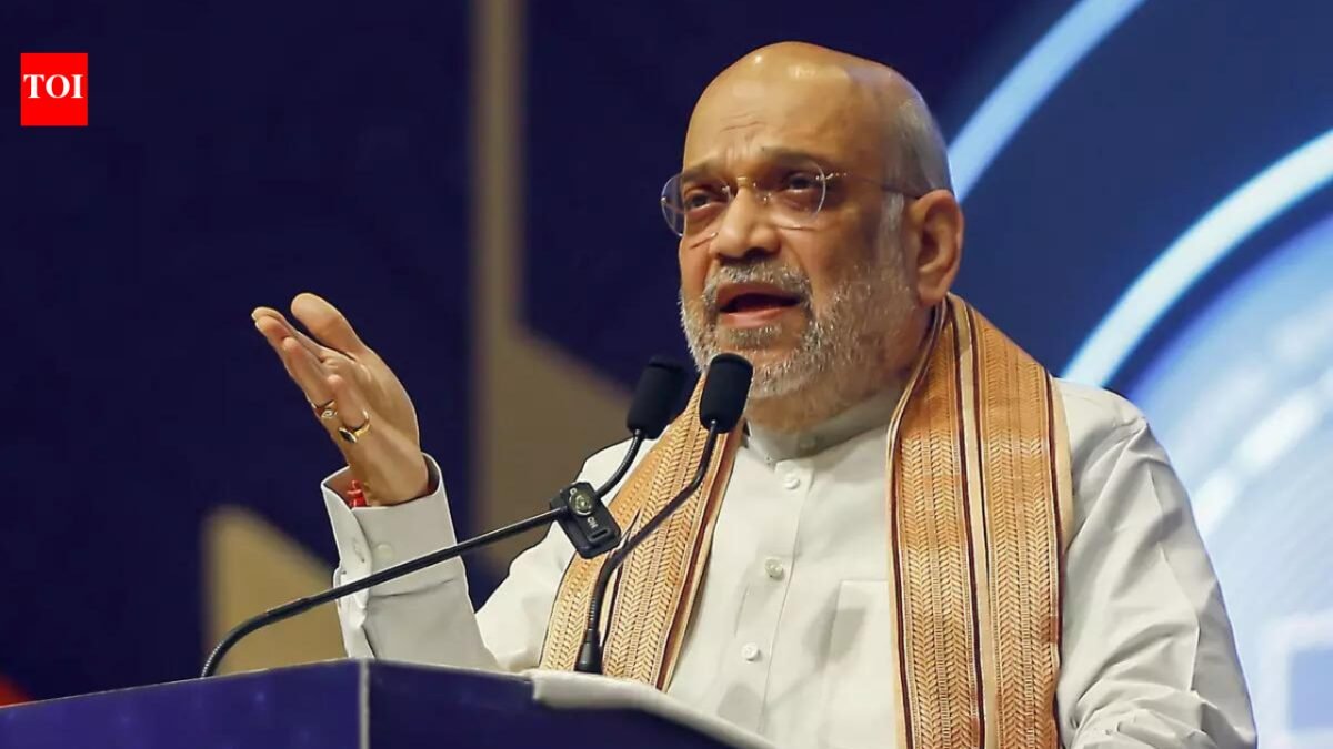 'Congress opens borders': Amit Shah ramps up infiltration into Assam India News