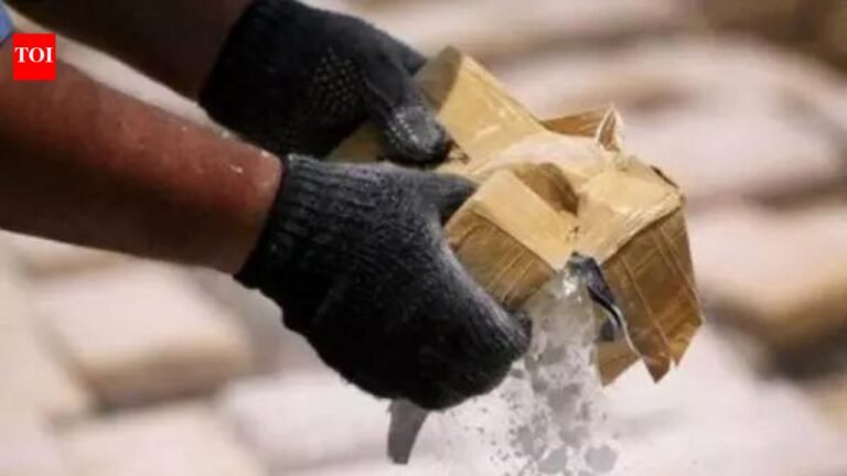 Drone-dropped heroin seized in J&K’s Kathua, 2 persons with links to Pakistan arrested | India News