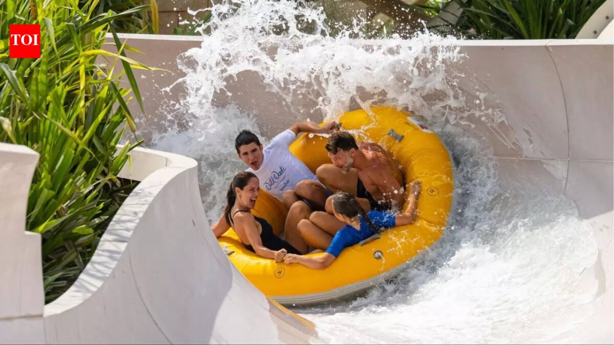 Dubai's much-loved Wild Wadi water park to reopen on Valentine's Day 2026: Special offer for UAE residents | World News