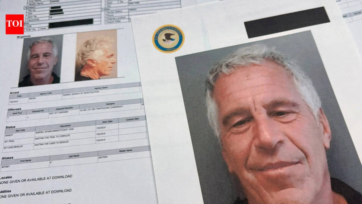 Epstein's Last Will and Testament: Who Will Inherit Millions of Dollars, and What About the Victims? |World News