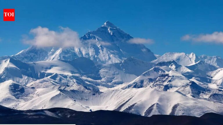 Everest wasn’t always a mountain! These 200-million-year-old marine fossils prove the Himalayas were once underwater World News