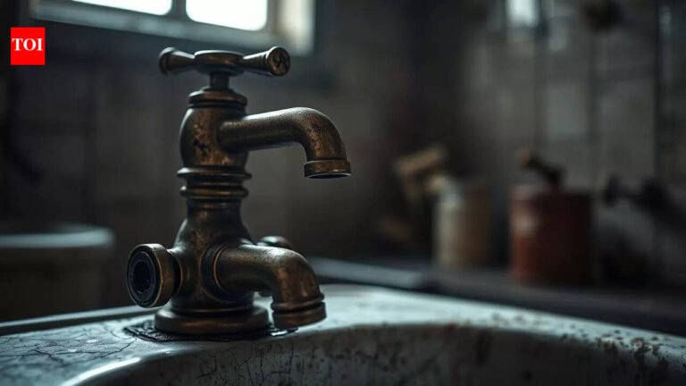 Gangtok houses to receive water supply once a day due to shortage | India News