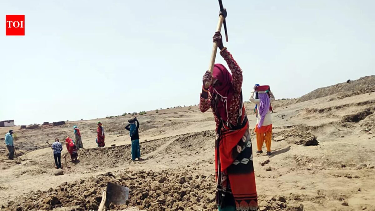 Govt spends only 40% of budget on biggest schemes in 9 months | India News