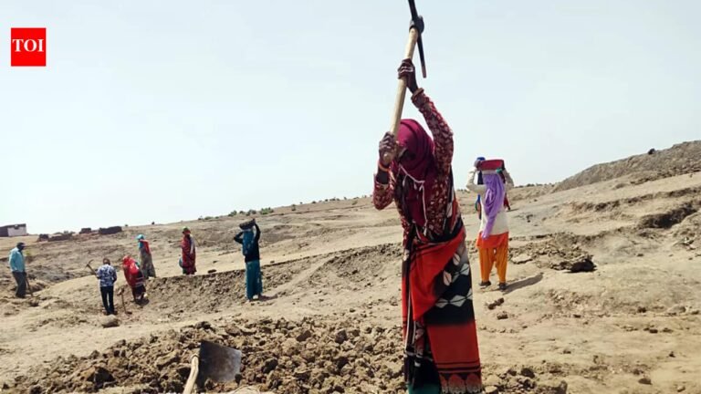 Govt spends only 40% of budget on biggest schemes in 9 months | India News