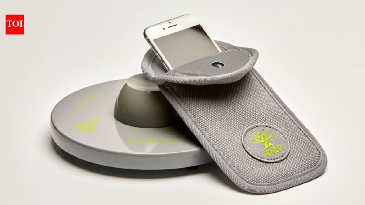 How US students get around a $25 phone lock bag filled with magnets, rocks and scissors World News