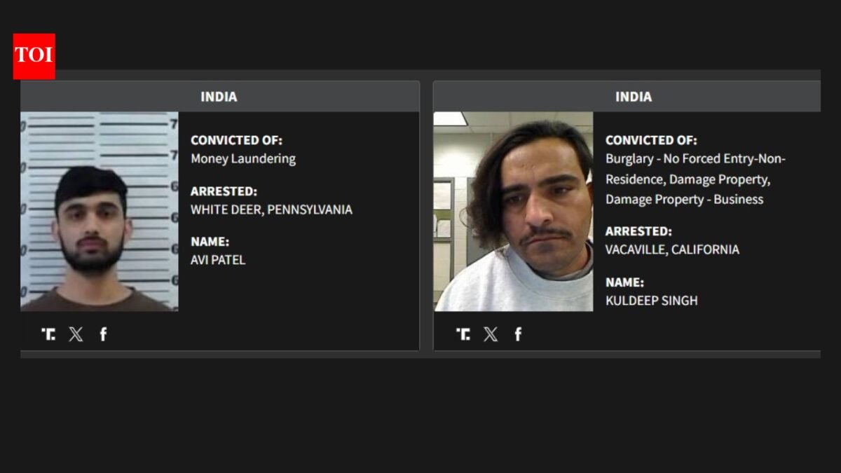 ICE arrests 89 Indians classified as 'worst' criminals by US