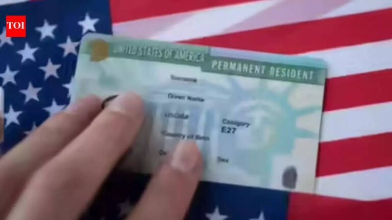 Immigration lawyers say not only visas, but green cards may also be delayed after social media review; “Posts about side hustles…”