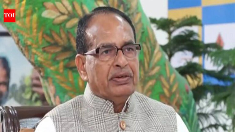 Indian agricultural interests fully protected under US deal: Chouhan | India News