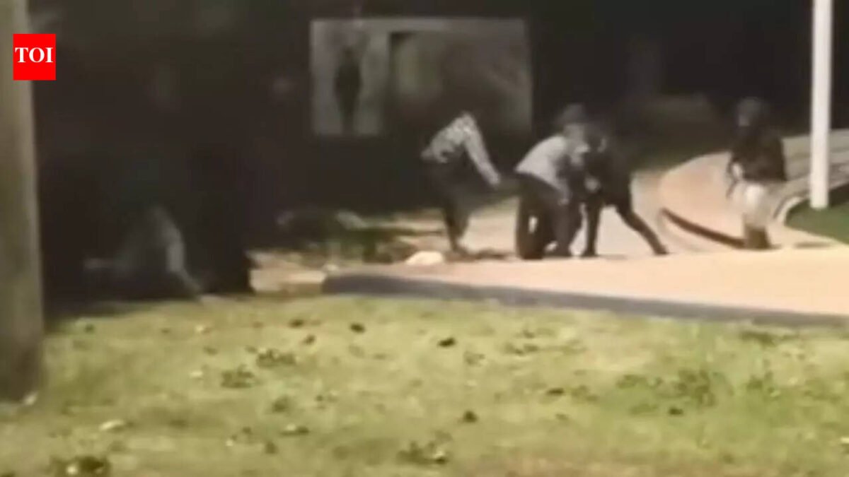 Indians attacked in Israel: WhatsApp plotted 'racially motivated' attack on 2 Indian workers in Ashkelon