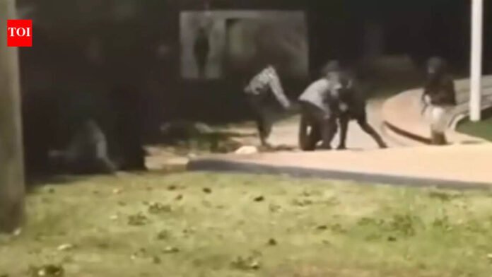 Indians attacked in Israel: WhatsApp plotted 'racially motivated' attack on 2 Indian workers in Ashkelon