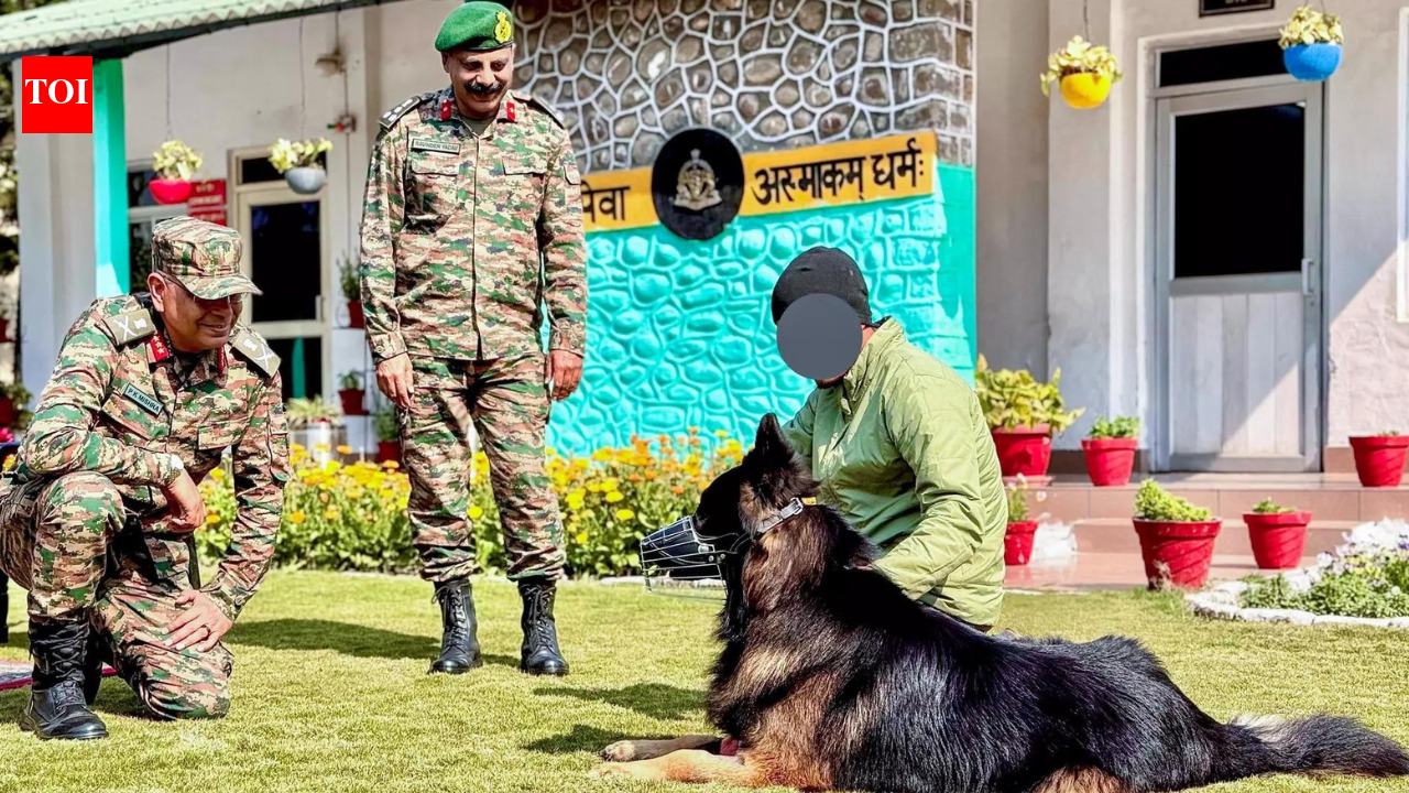 'Injured but in good spirits': Army shares latest on 'brave dog Tyson' who 'received first bullet' India News