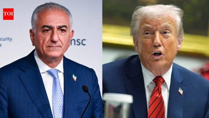 'It's time to end the Islamic Republic': Exiled prince Reza Pahlavi urges Donald Trump to help Iranian people