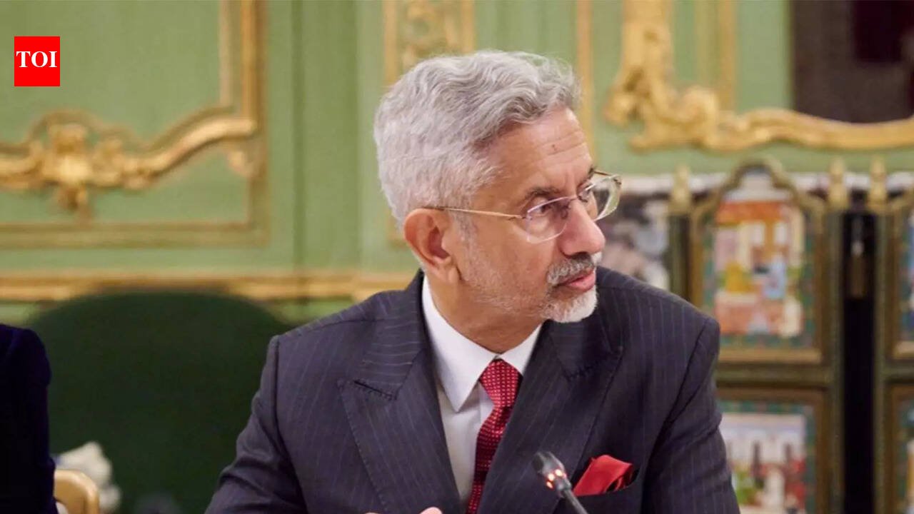 Jaishankar: Critical minerals tie-up with US rapidly advancing India News