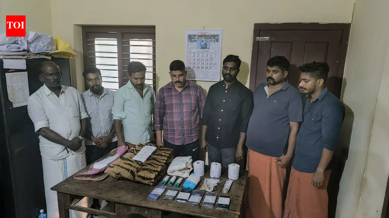 Kerala: Forest officials bust wildlife trafficking gang trying to sell tiger skins, claws and teeth; 7 Held | India News