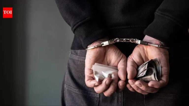 Kuwait steps up nationwide security crackdown: fight against drugs, crime and illegal enterprises