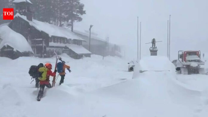Lake-Tahoe-avalanche-Massive-slide-near-Castle-Peak-kills-8.jpg Lake Tahoe avalanche: Massive slide near Castle Peak kills 8 skiers and leaves 1 missing