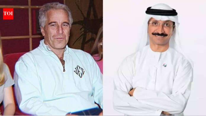 'Like torture videos': New Epstein dossier emails reveal DP World chairman Sultan Ahmed bin Sulayem discussed disturbing sexual details with Jeffrey Epstein