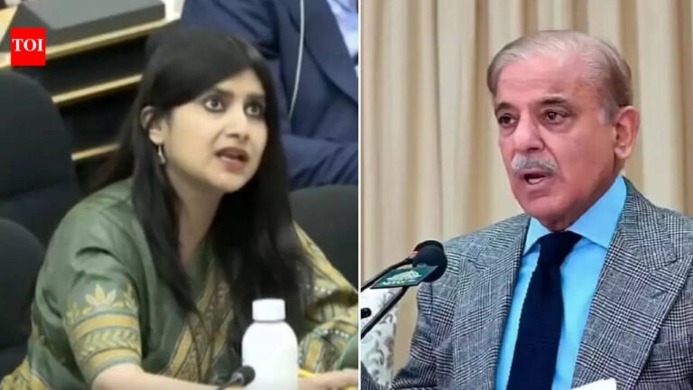 ‘Living in la-la land’: India slams Pakistan for ‘constant propaganda’ at UN India News