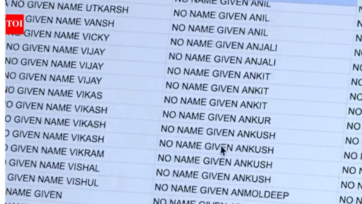Maga: 'Targeting Punjabi population': MAGA activists claim thousands of US trucking companies operating 'without anonymity'