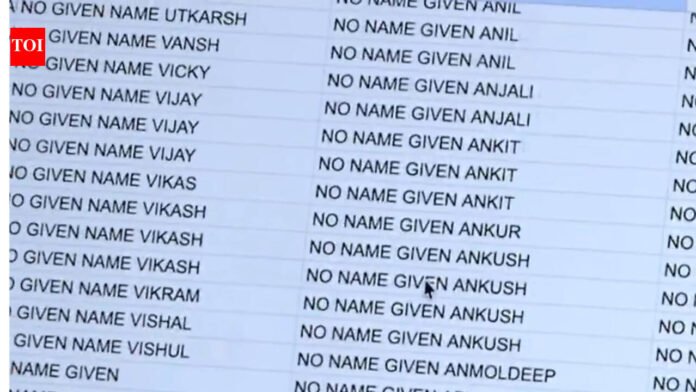 Maga: 'Targeting Punjabi population': MAGA activists claim thousands of US trucking companies operating 'without anonymity'