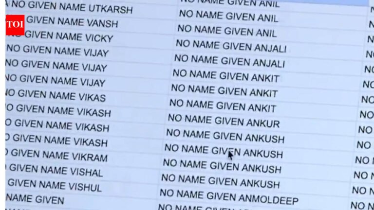 Maga: ‘Targeting Punjabi population’: MAGA activists claim thousands of US trucking companies operating ‘without anonymity’