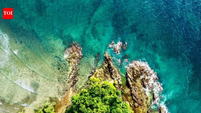 NGT nod thwarts Gandhi's efforts to block Nicobar Plan: BJP | India News