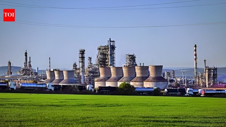 Nayara’s future uncertain: India may bargain with US over Russian crude India News