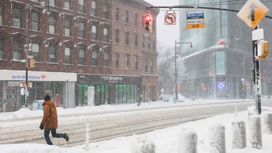 New-Jersey-declares-state-of-emergency-All-power-outages-travel.jpg Cricket in L1