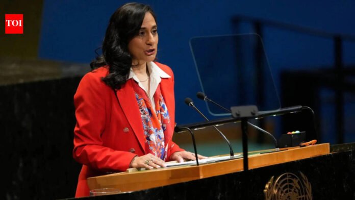 'No country gets a pass': Anita Anand on whether Indian gangs are behind Canada's extortion threat