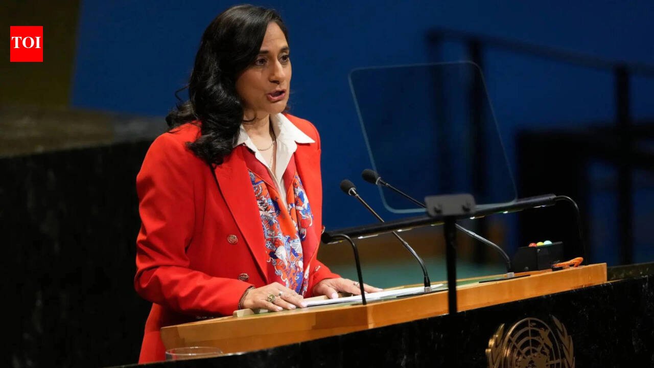 'No country gets a pass': Anita Anand on whether Indian gangs are behind Canada's extortion threat