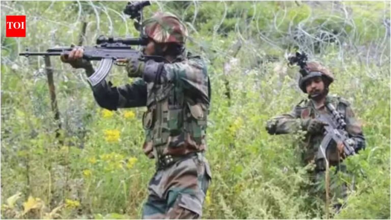 Operation Kiya: Two terrorists killed by security forces in Udhampur, J&K India News