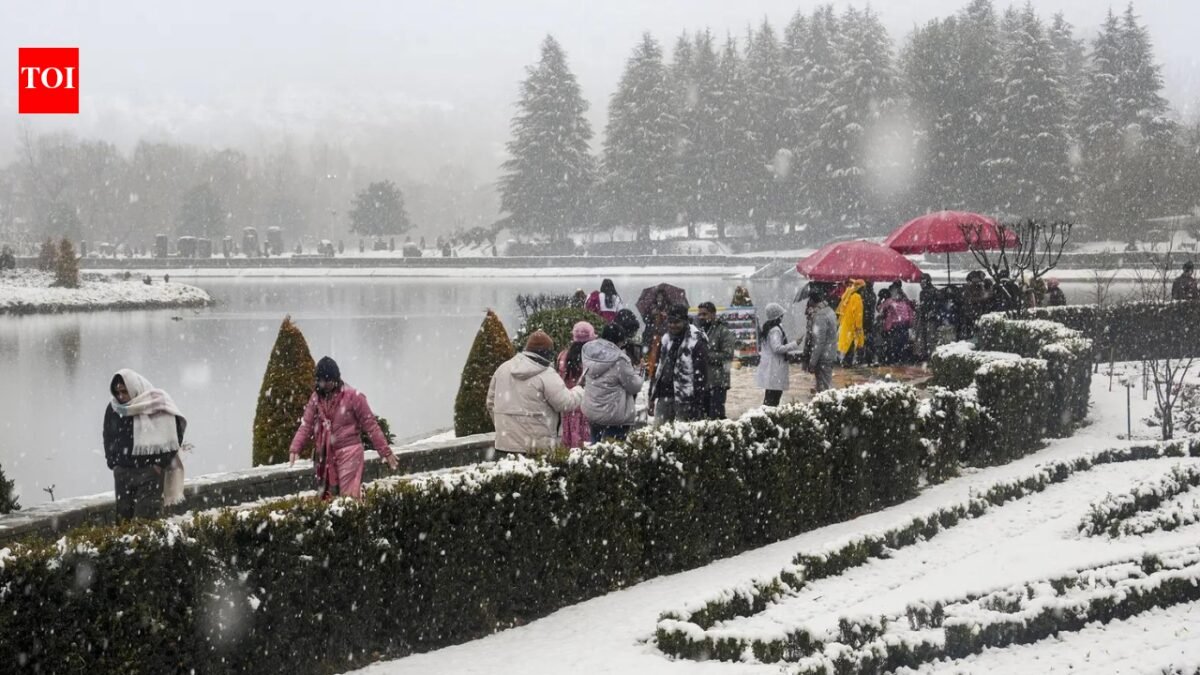 Over 1.7 crore tourists, including 36,000 foreigners, to visit J&K in 2025: Govt | India News