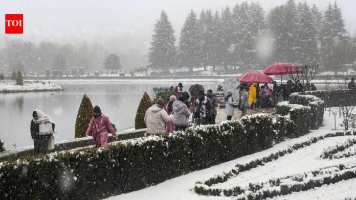 Over 1.7 crore tourists, including 36,000 foreigners, to visit J&K in 2025: Govt | India News