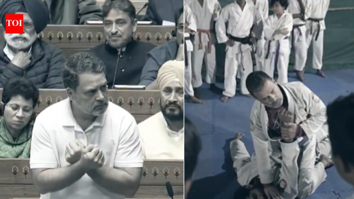 'PM Modi torn between US and China': Rahul returns with jiu-jitsu metaphor; explains why he used it in Parliament | India News