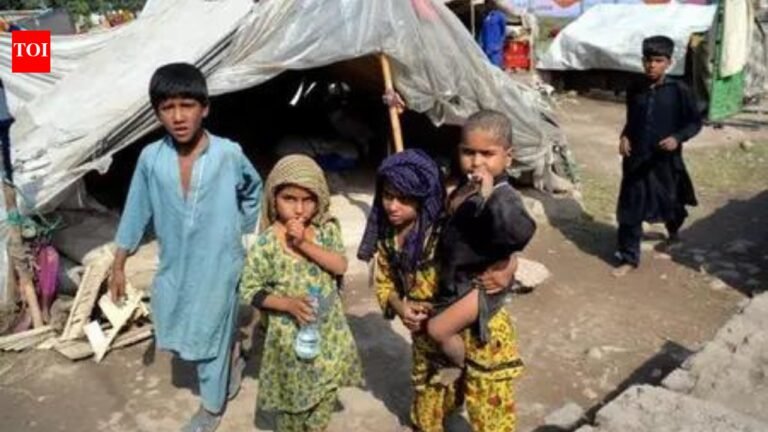 Poverty surges in Pakistan, inequality reaches highest level in 27 years as economic crisis deepens World News