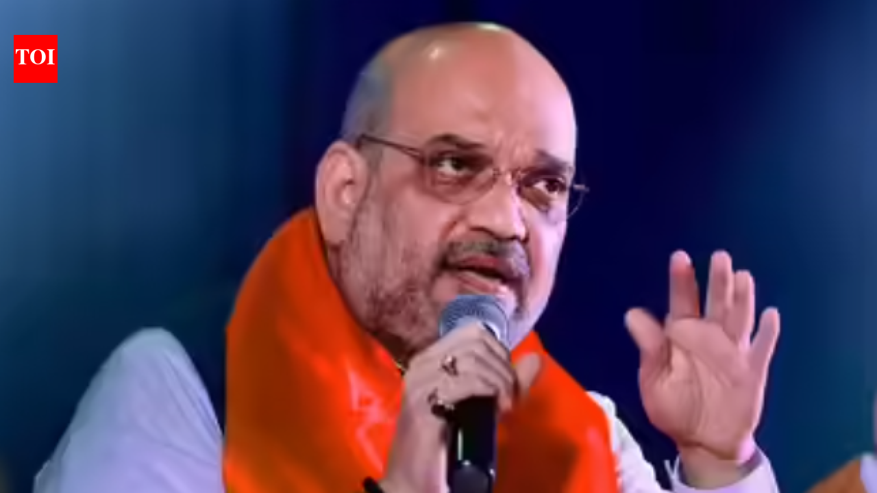 Rahul Gandhi's policy was to lie, lie loudly and repeat: Amit Shah | Puducherry News