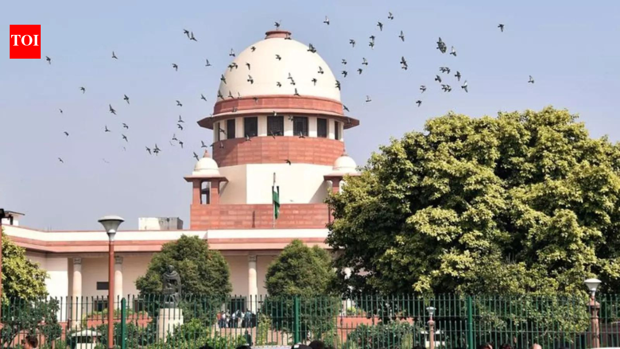 SC bans NCERT book for chapter on 'judicial corruption' India News