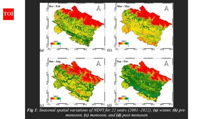 Satellite data over two decades shows declining green cover in Uttarakhand hills India News
