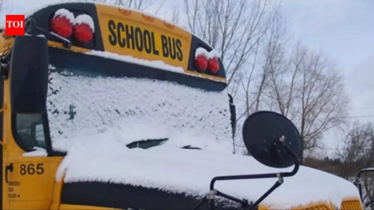 Schools open, GTA buses canceled during Ontario winter storm: Weather forecast and other details families need to know