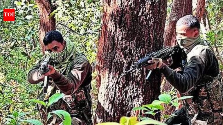 Seven Naxalites, including top leader, killed in Gadchiroli; Special Forces Jawan dies of injuries India News