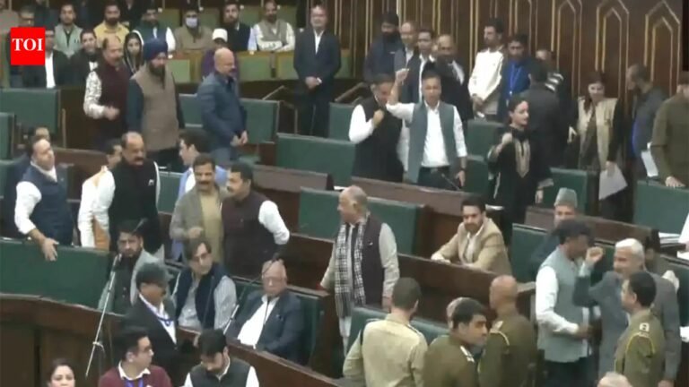‘Shoe beating’ remark causes uproar in J&K Assembly, BJP demands apology from Omar | India News